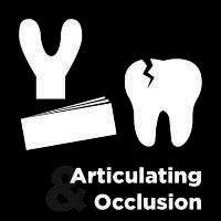 Articulating & Occlusion